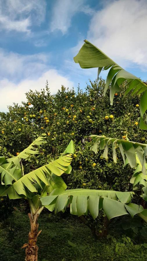 Апартаменты Casa L&M Lajes das Flores Экстерьер фото