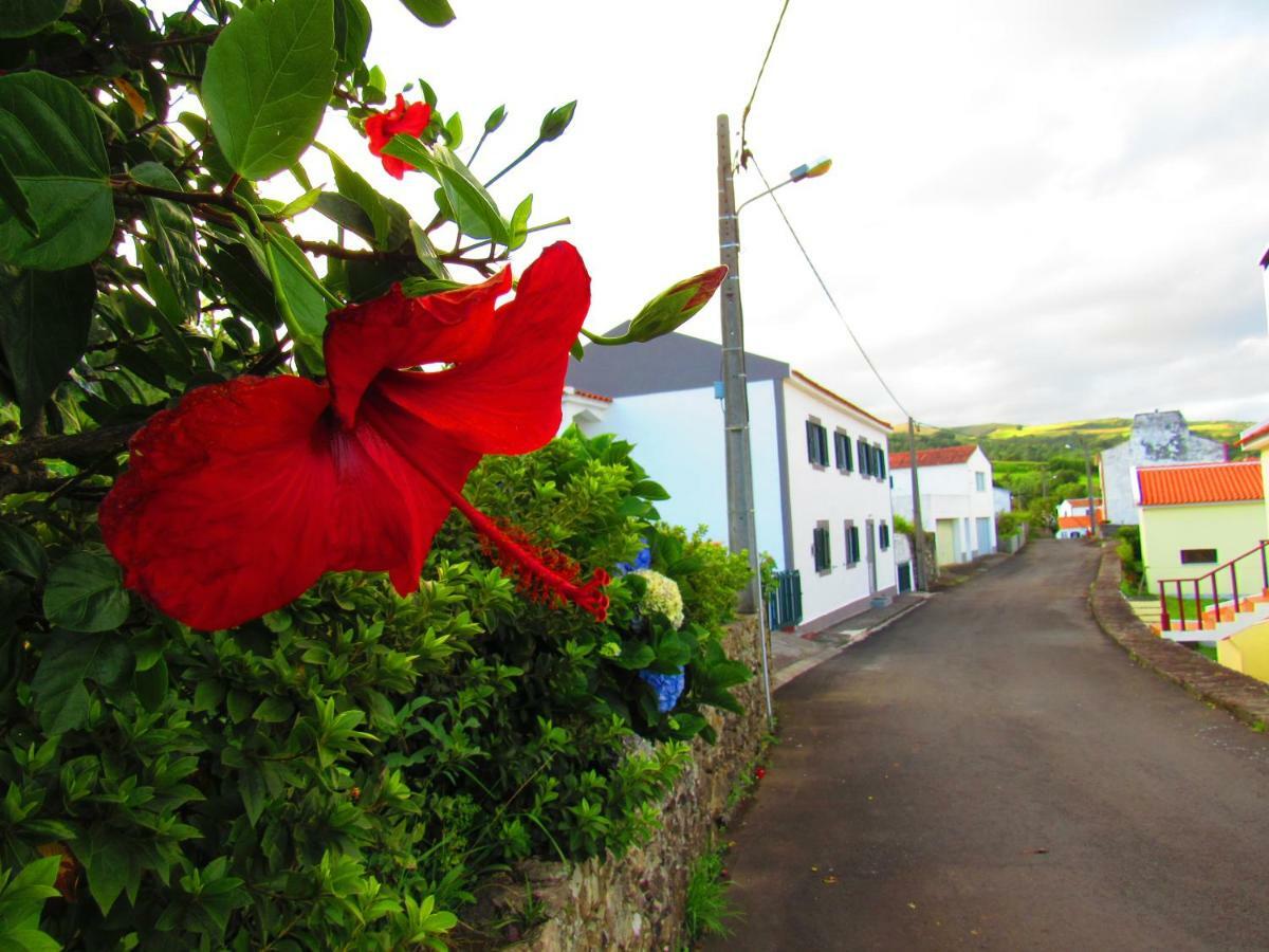 Апартаменты Casa L&M Lajes das Flores Экстерьер фото