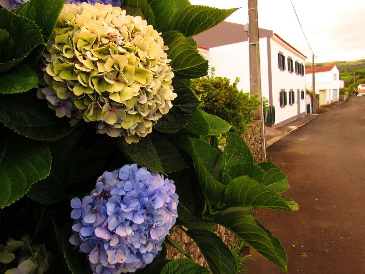 Апартаменты Casa L&M Lajes das Flores Экстерьер фото